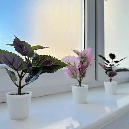 Habitación en casa particular Dolce - 10 Minutes To Old Town & Seaside