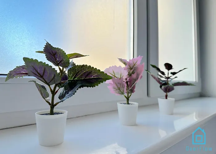 Ubytování v soukromí Dolce - 10 Minutes To Old Town & Seaside